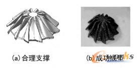 葉輪模型及成型圖