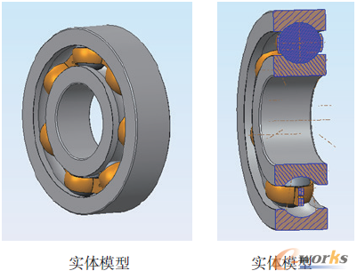 圖6 深溝球軸承6420的實體模型和剖視圖